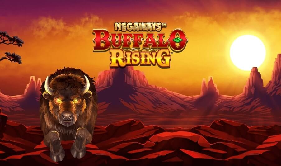 Buffalo Rising?